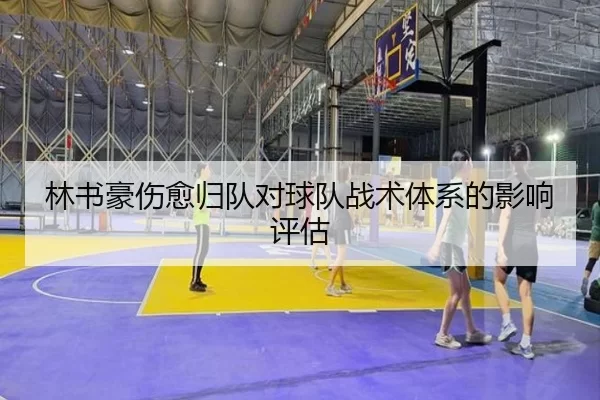 林书豪伤愈归队对球队战术体系的影响评估